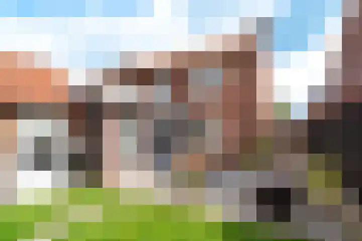 Prins Mauritsstraat 4 Rijssen thumbnail 38