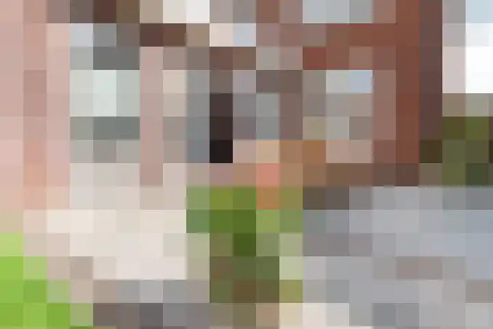Prins Mauritsstraat 4 Rijssen thumbnail 39