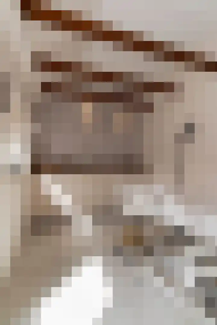 Prins Mauritsstraat 4 Rijssen thumbnail 41