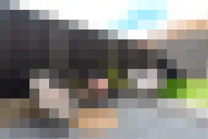 Prins Mauritsstraat 4 Rijssen thumbnail 46