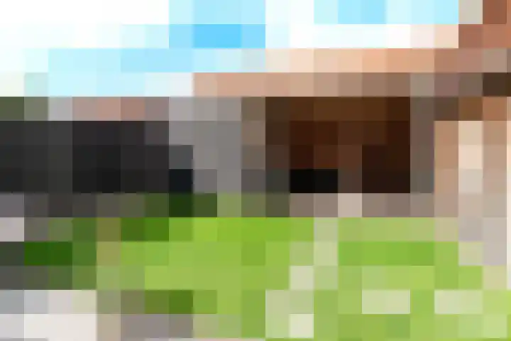 Prins Mauritsstraat 4 Rijssen thumbnail 48