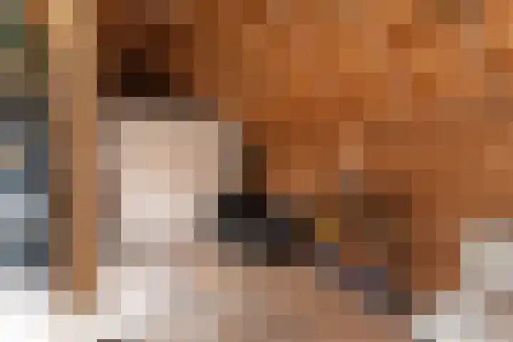 Prins Mauritsstraat 4 Rijssen thumbnail 51