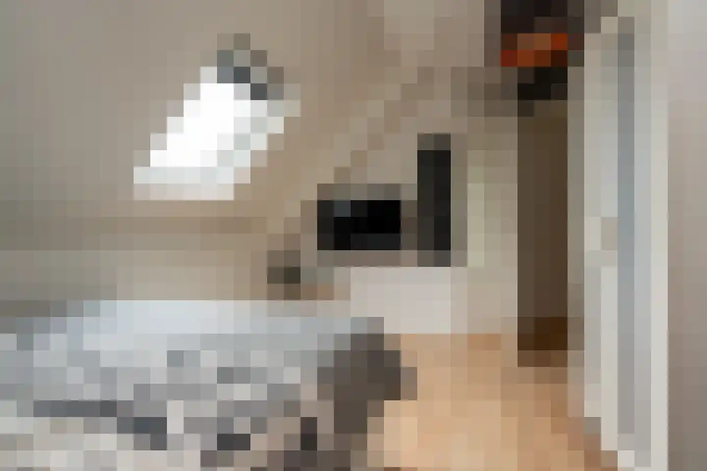 Prins Mauritsstraat 4 Stadskanaal thumbnail 30