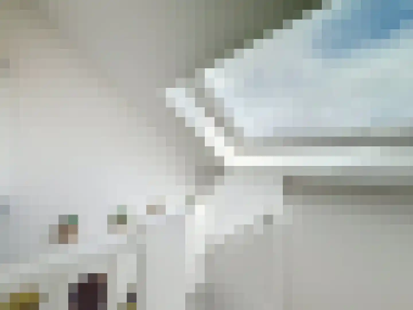 Prins Mauritsstraat 40 Retranchement thumbnail 20
