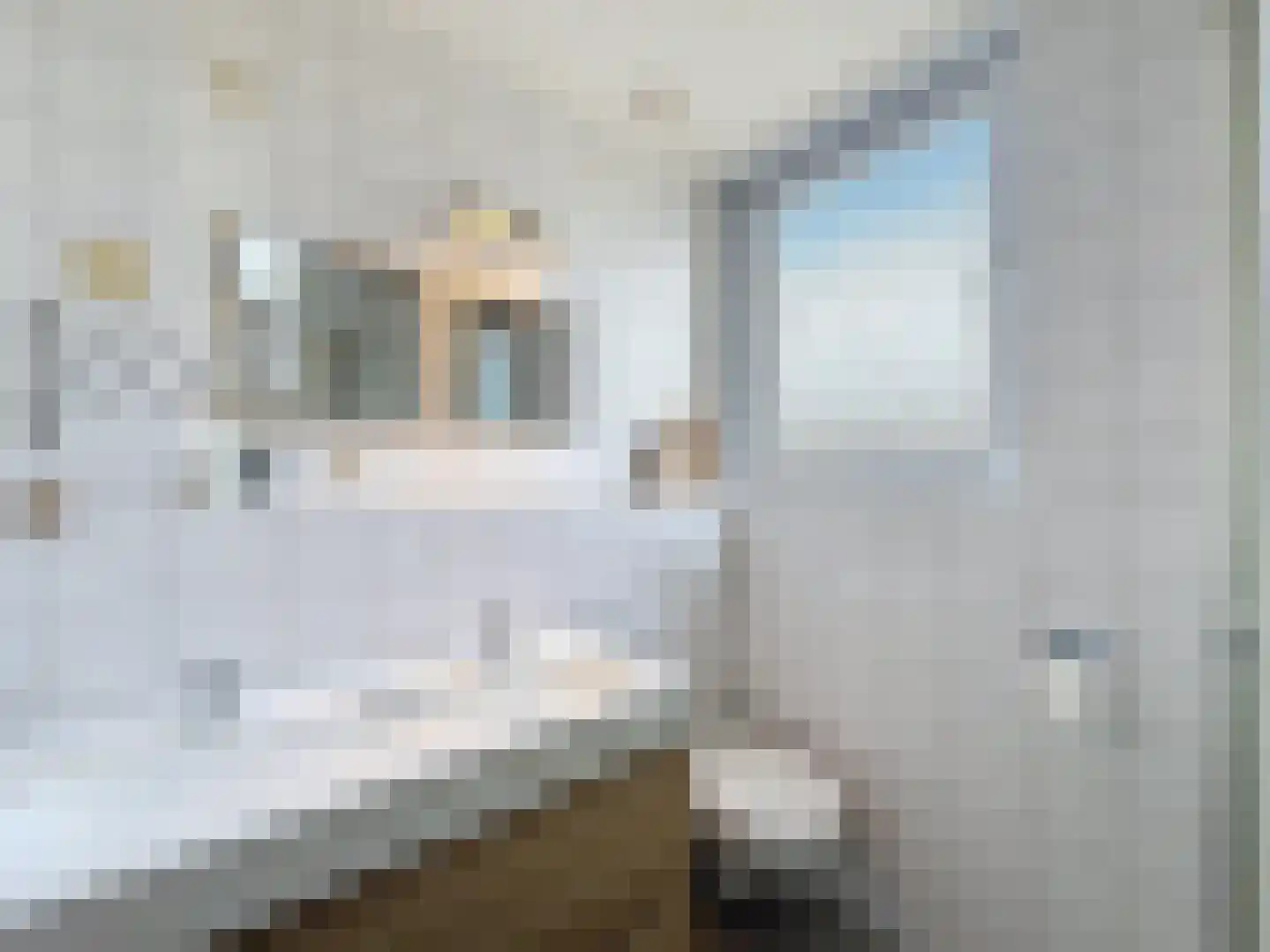 Prins Mauritsstraat 40 Retranchement thumbnail 23
