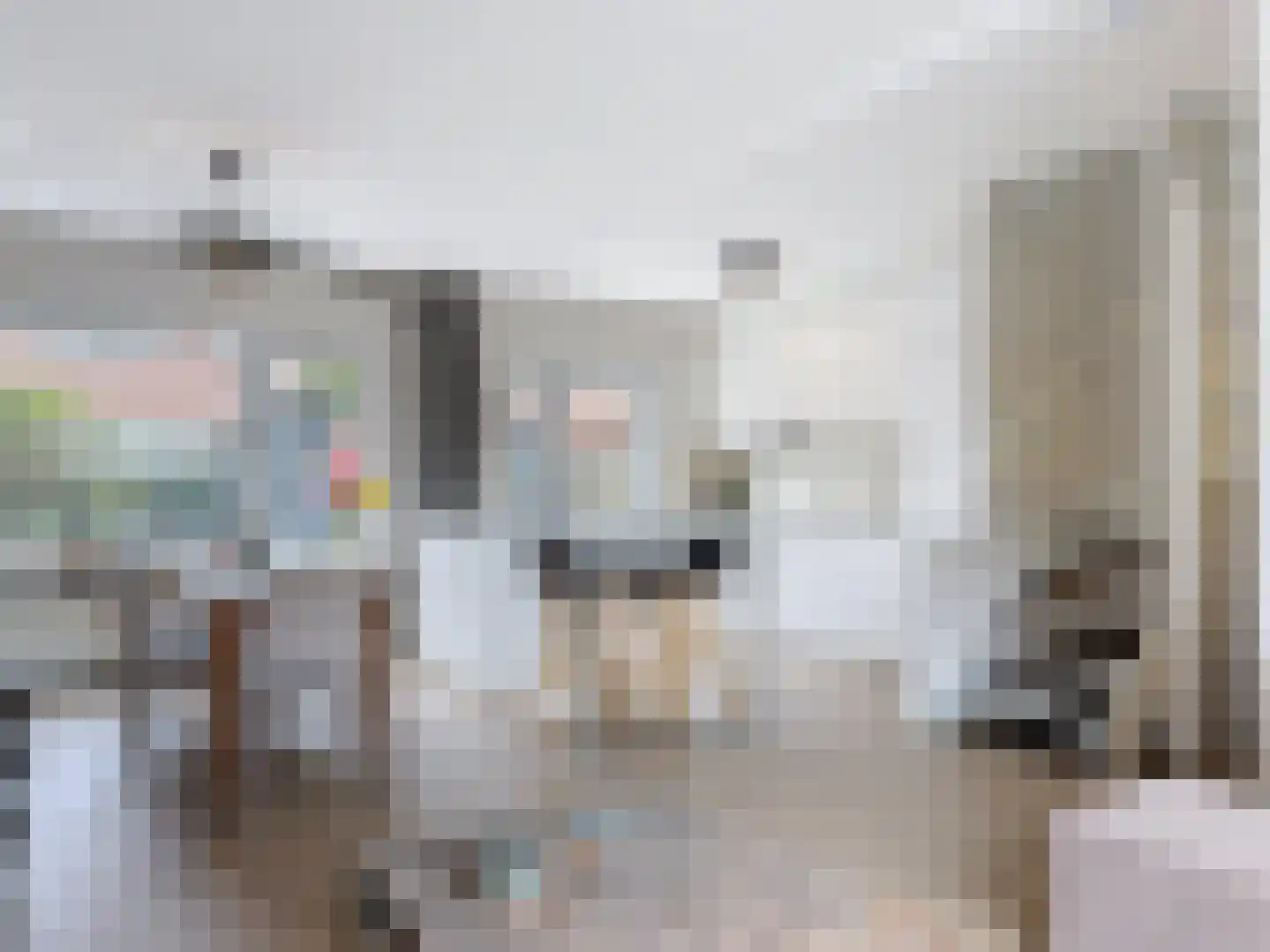 Prins Mauritsstraat 40 Retranchement thumbnail 8