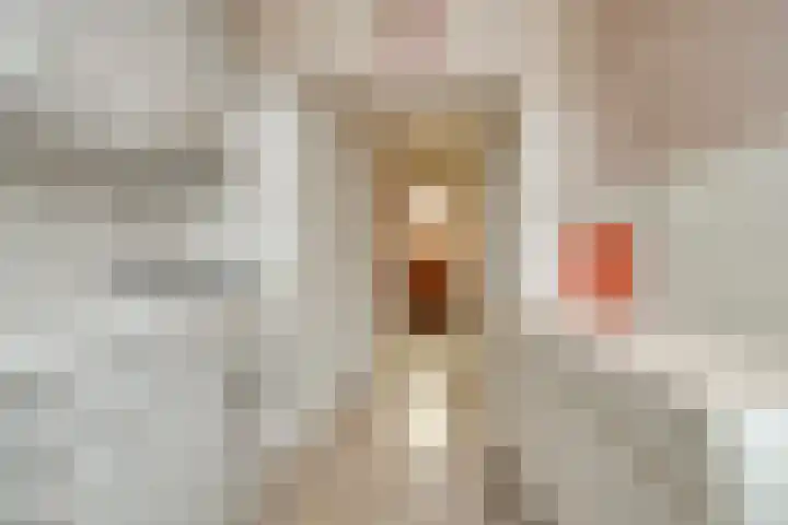 Prins Mauritsstraat 47 Zwolle thumbnail 9