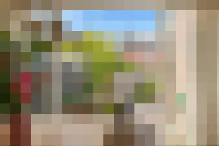 Prins Mauritsstraat 5 Castricum thumbnail 20