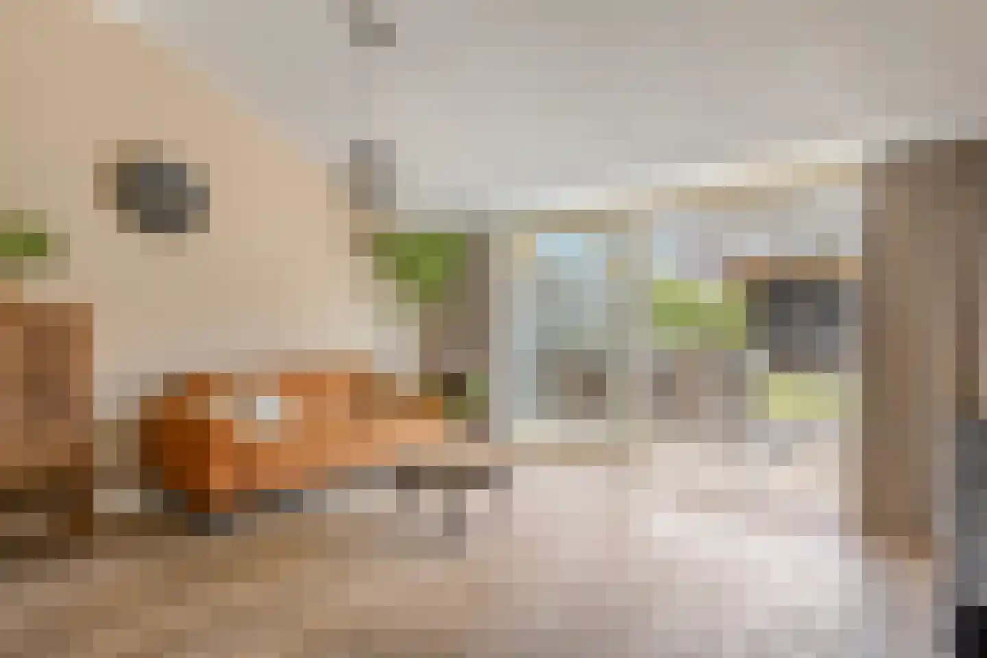 Prins Mauritsstraat 5 Panningen thumbnail 17