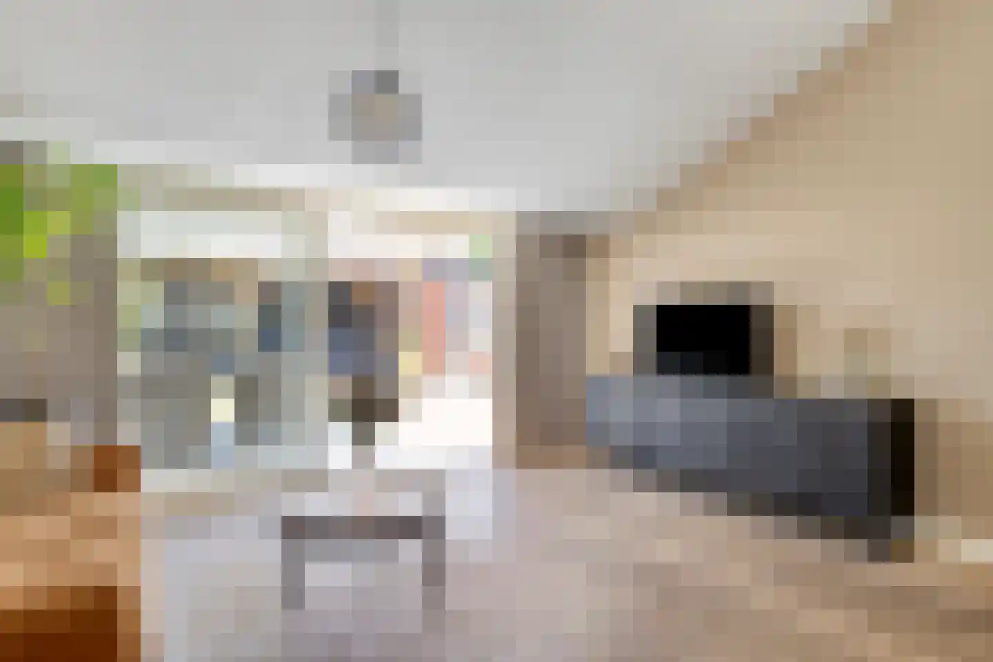 Prins Mauritsstraat 5 Panningen thumbnail 18