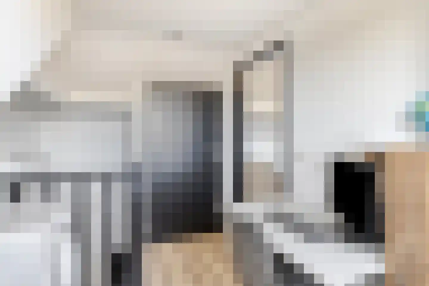 Prins Mauritsstraat 5 Panningen thumbnail 35