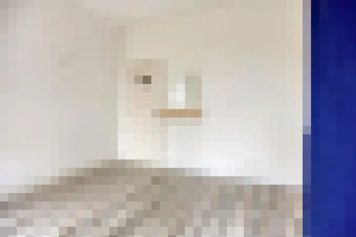 Prins Mauritsstraat 6 Delft thumbnail 15