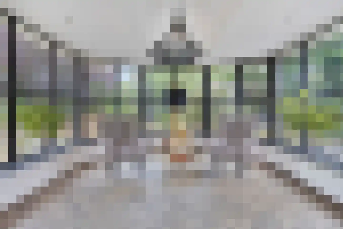 Prins Mauritsstraat 6 Dinteloord thumbnail 13