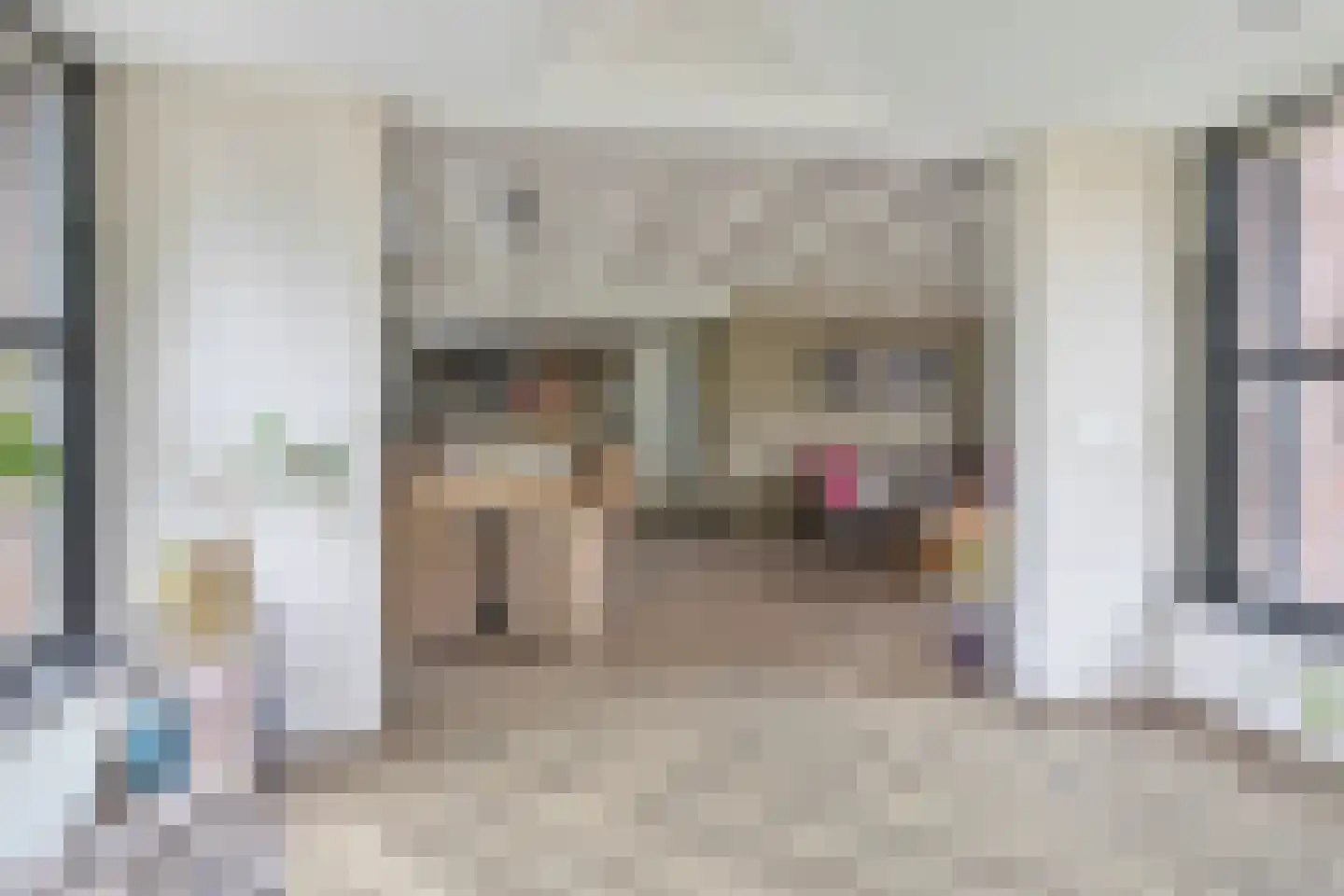 Prins Mauritsstraat 6 Dinteloord thumbnail 15