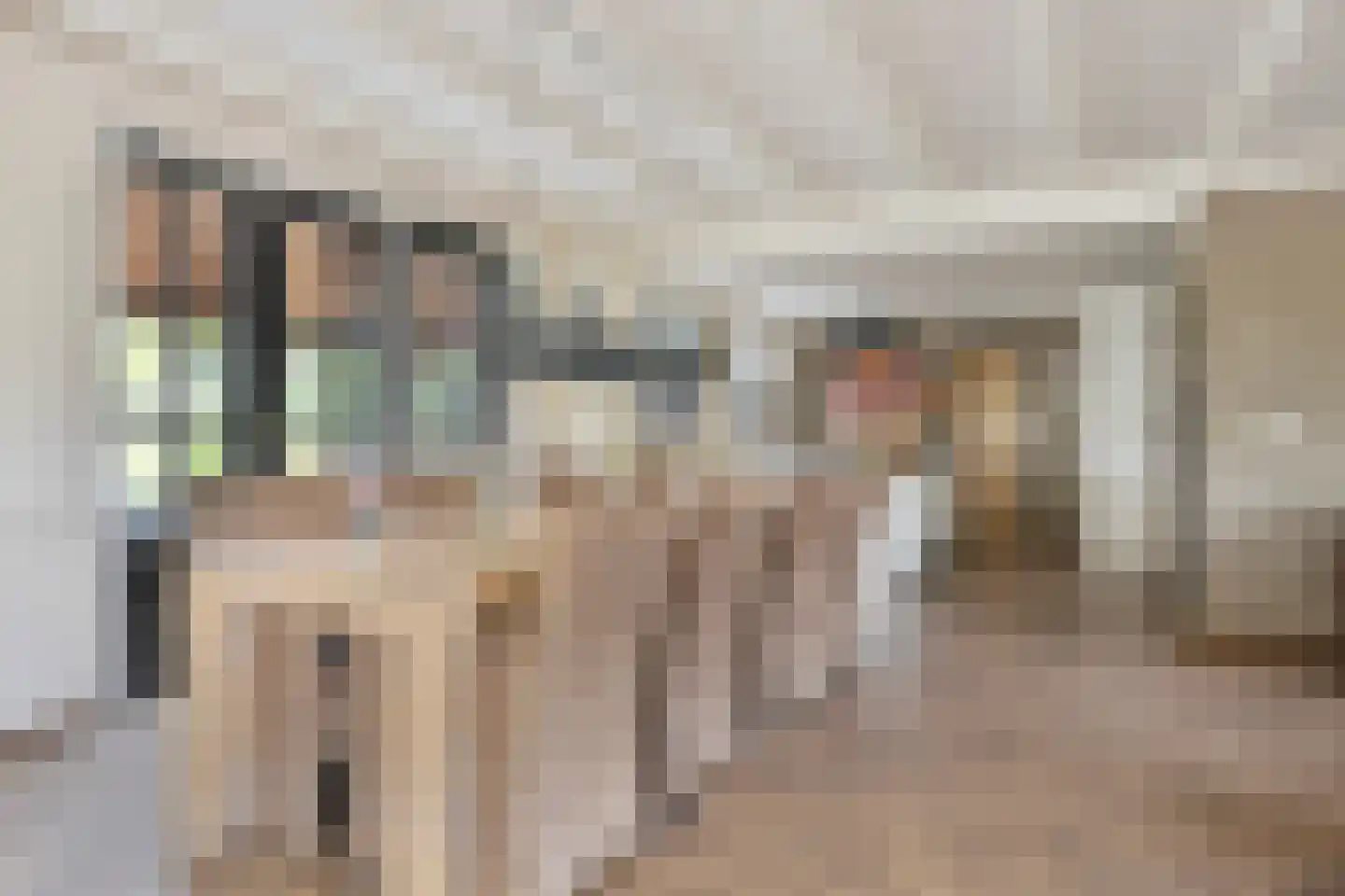 Prins Mauritsstraat 6 Dinteloord thumbnail 16