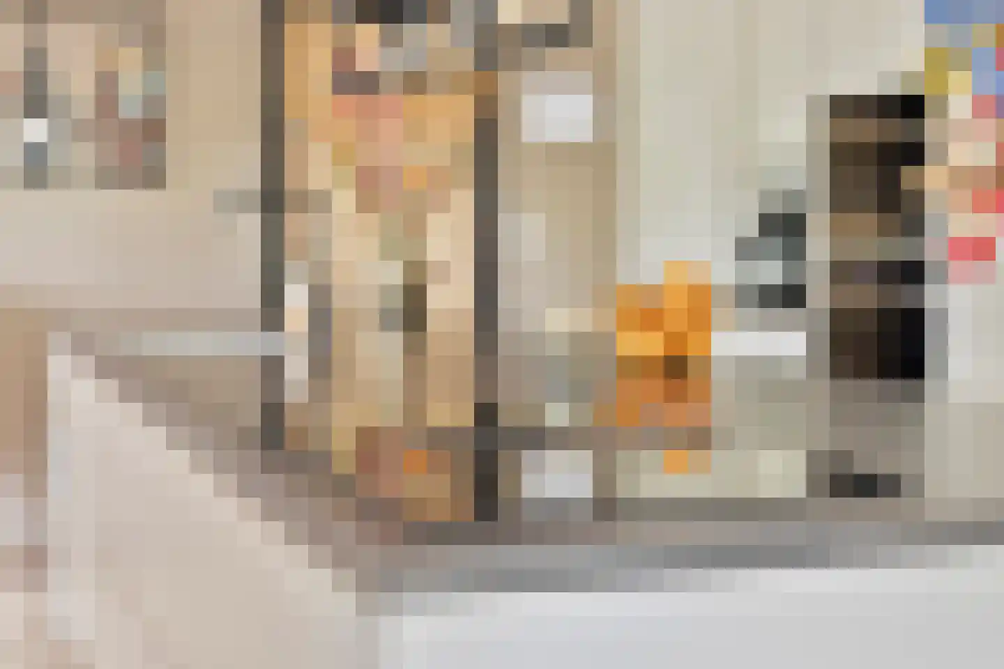 Prins Mauritsstraat 6 Dinteloord thumbnail 19