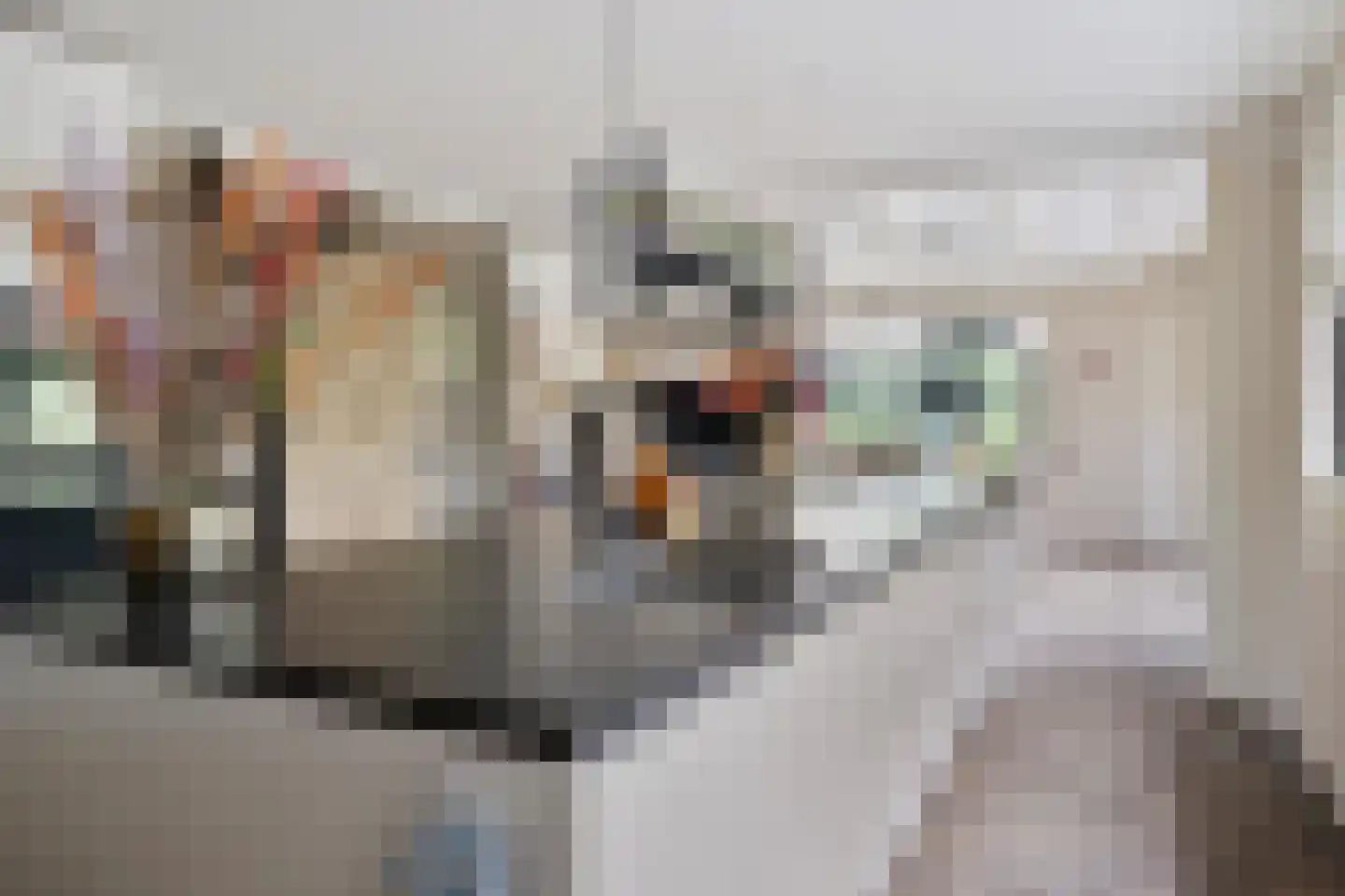 Prins Mauritsstraat 6 Dinteloord thumbnail 20