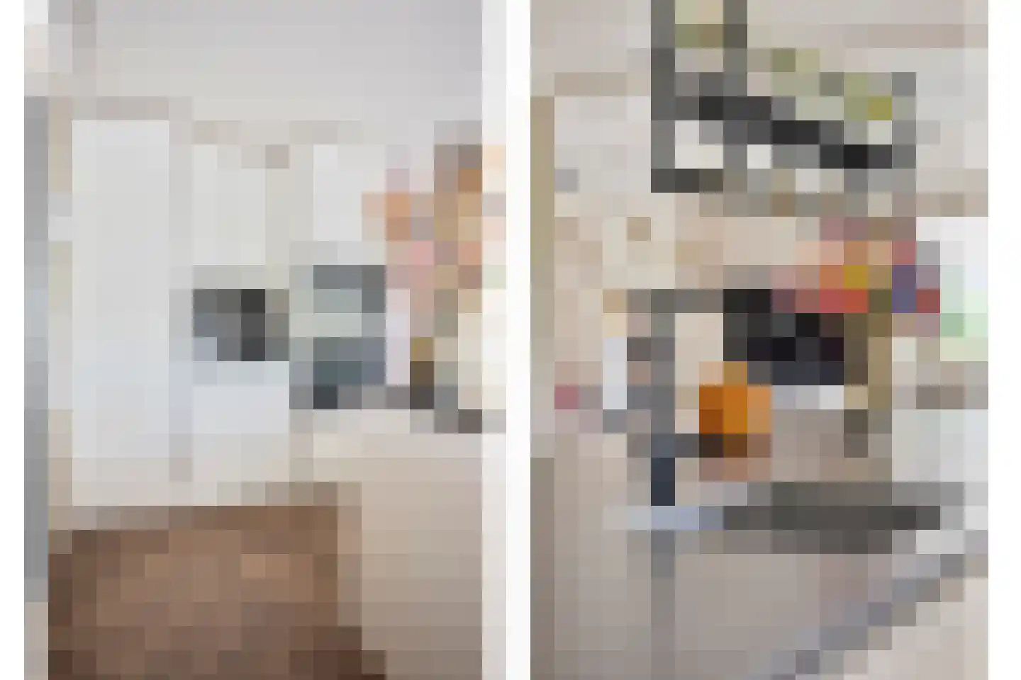 Prins Mauritsstraat 6 Dinteloord thumbnail 21