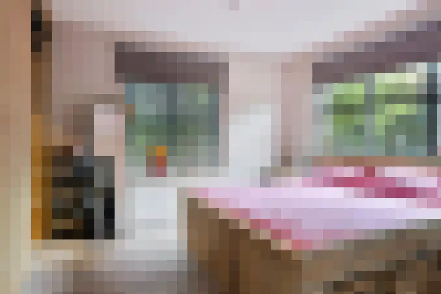 Prins Mauritsstraat 6 Dinteloord thumbnail 24