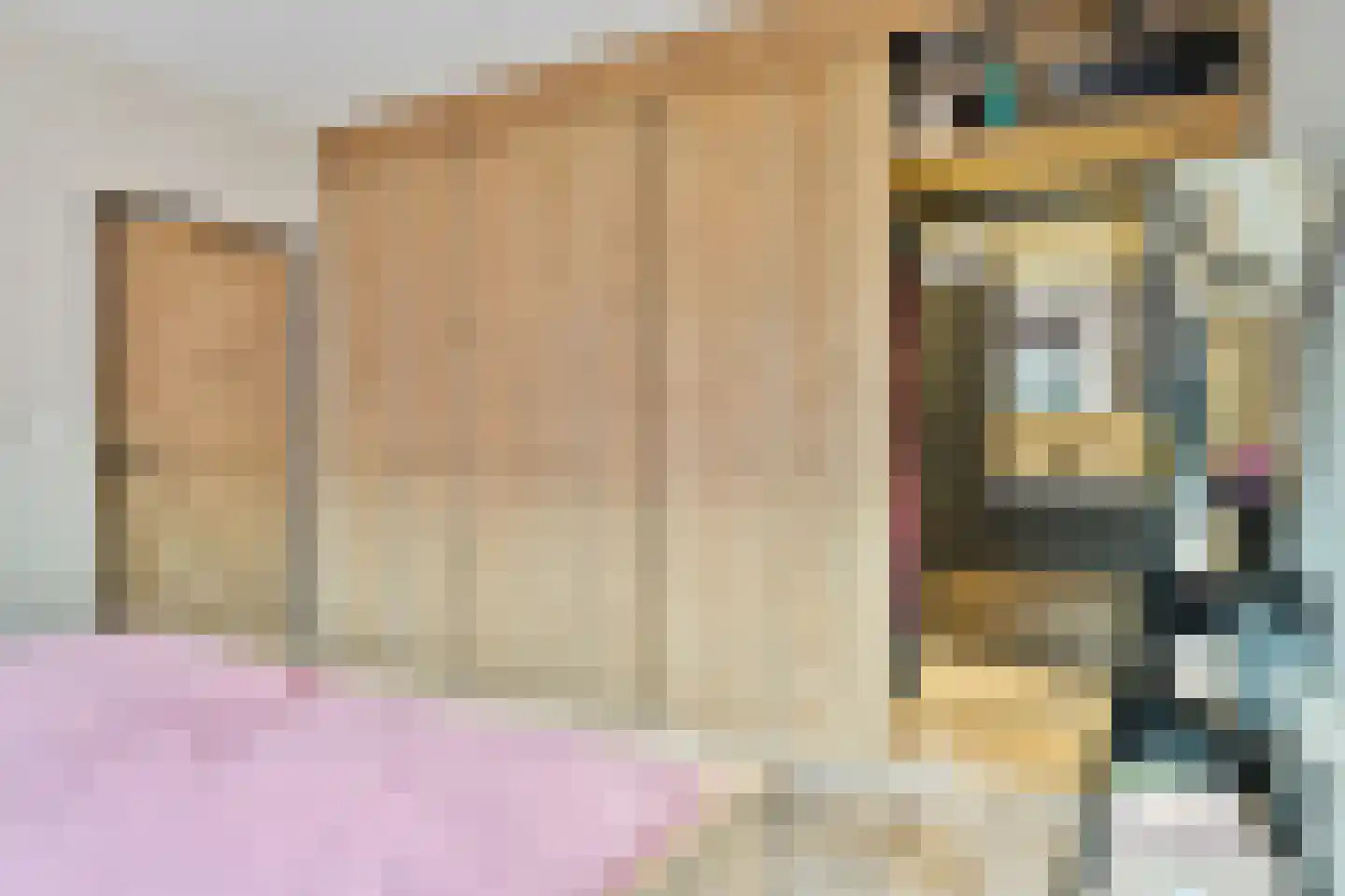 Prins Mauritsstraat 6 Dinteloord thumbnail 26