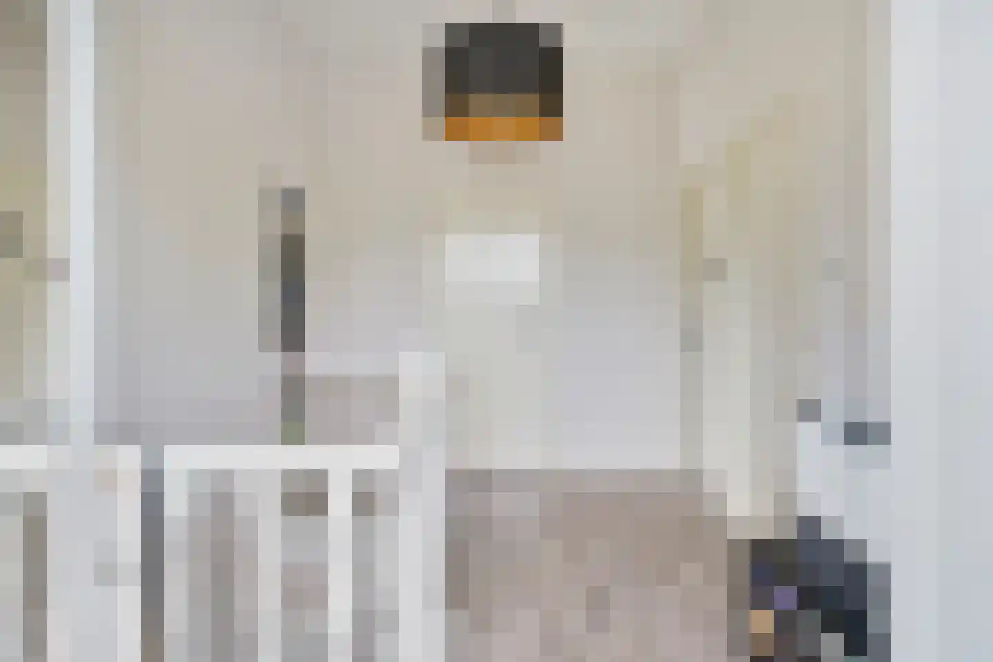 Prins Mauritsstraat 6 Dinteloord thumbnail 29