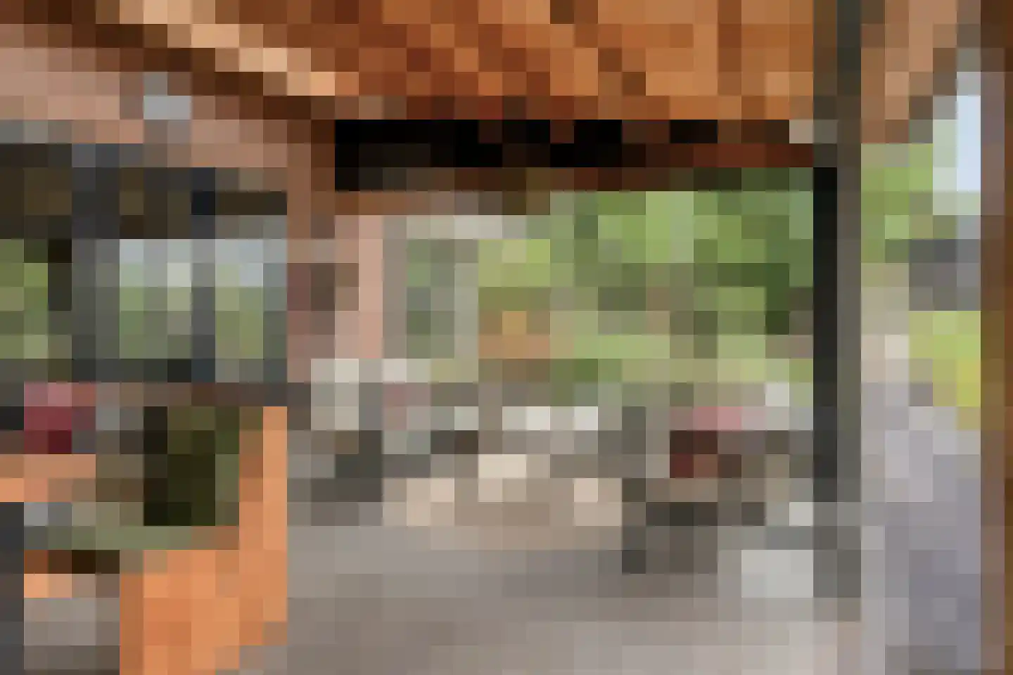 Prins Mauritsstraat 6 Dinteloord thumbnail 44