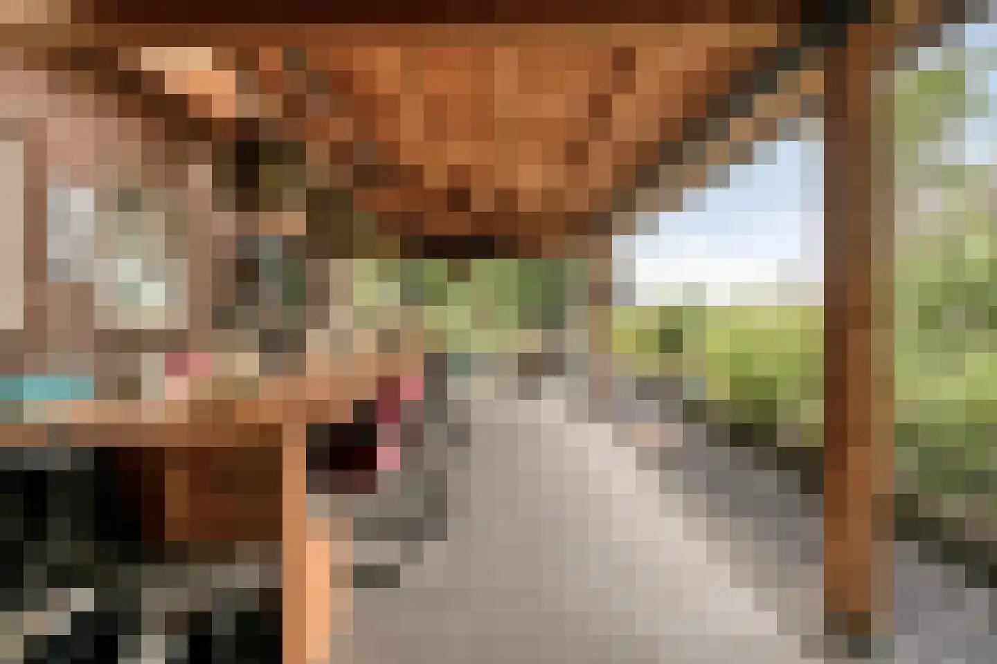 Prins Mauritsstraat 6 Dinteloord thumbnail 45