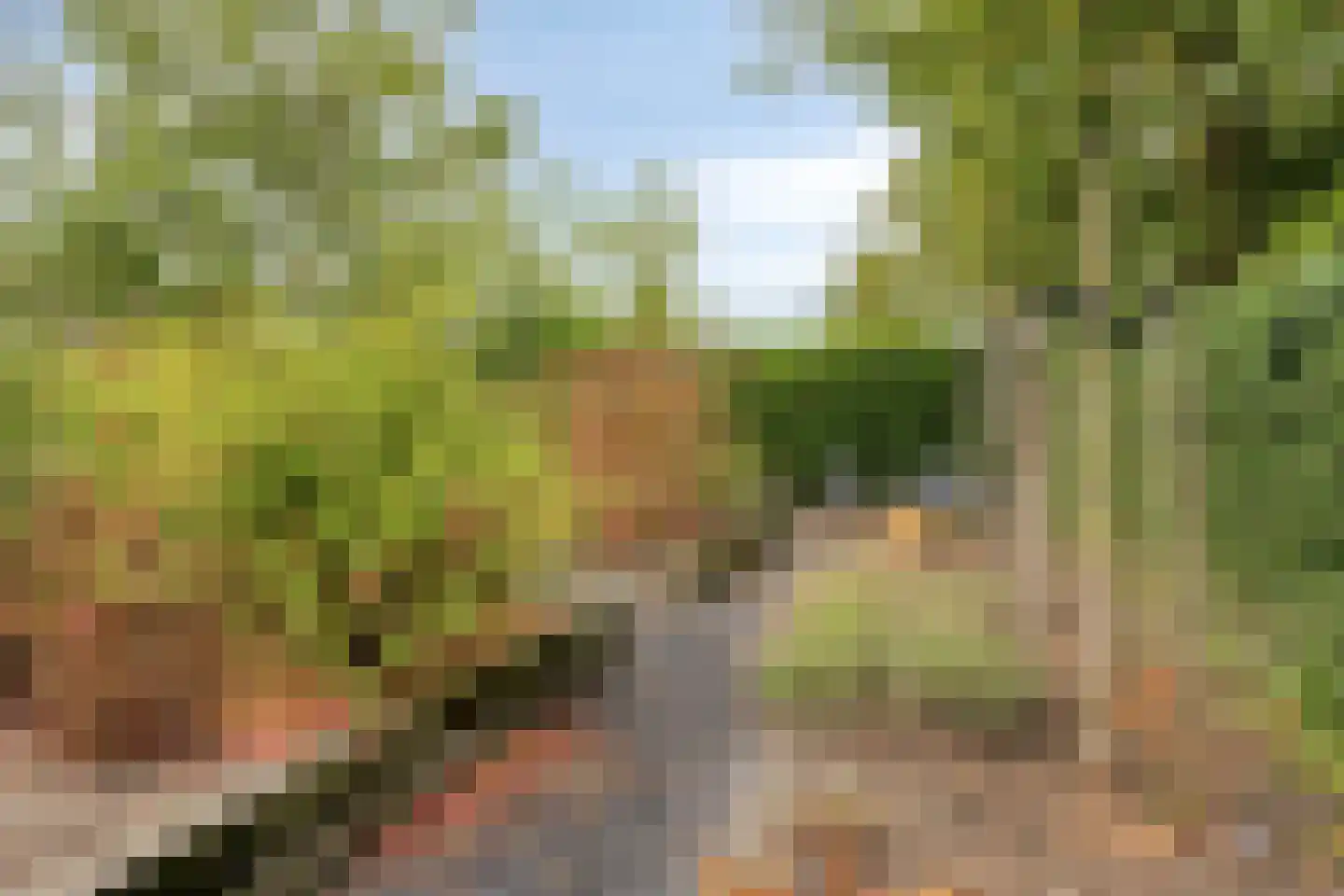 Prins Mauritsstraat 6 Dinteloord thumbnail 46