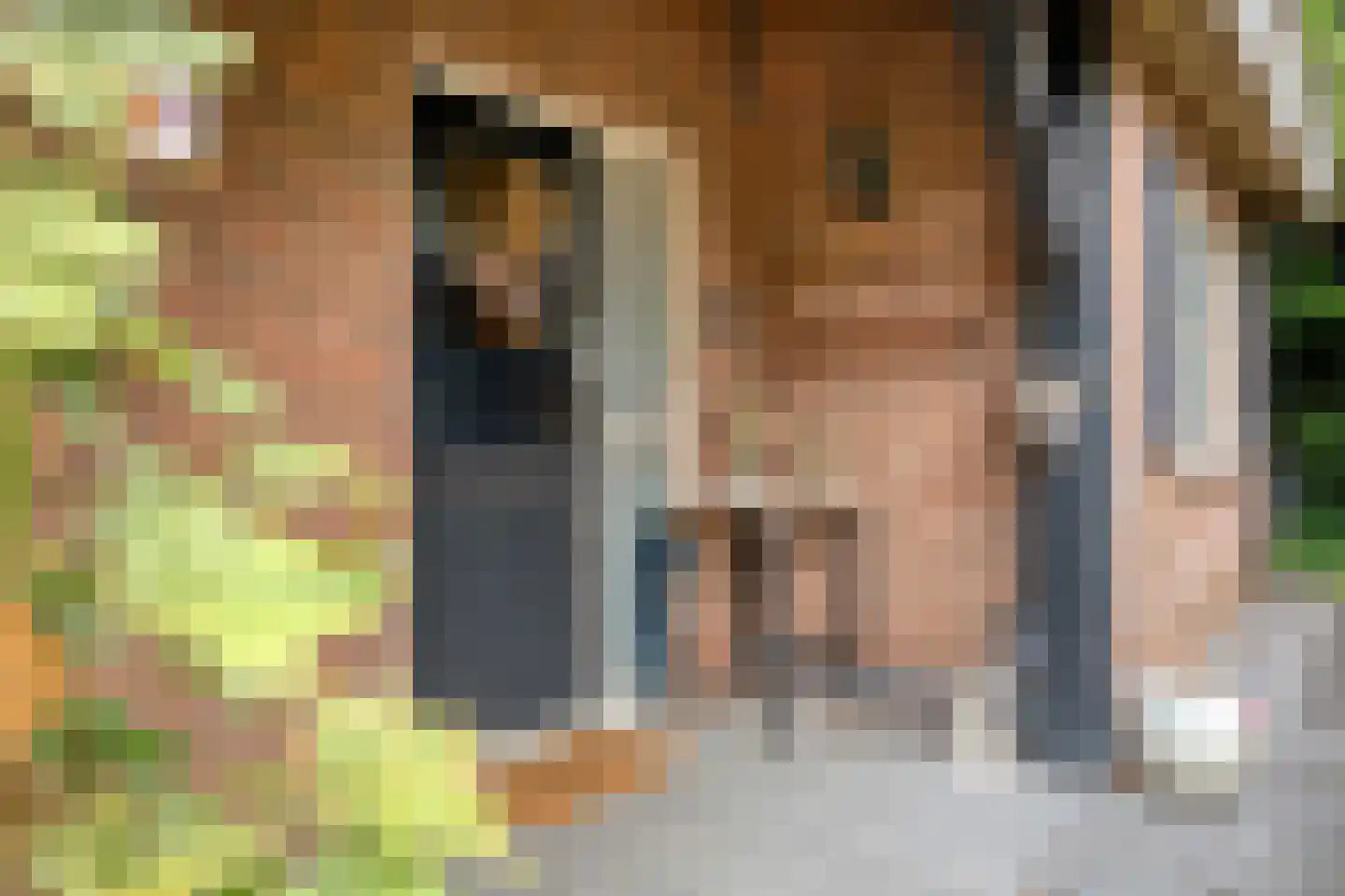 Prins Mauritsstraat 6 Dinteloord thumbnail 5