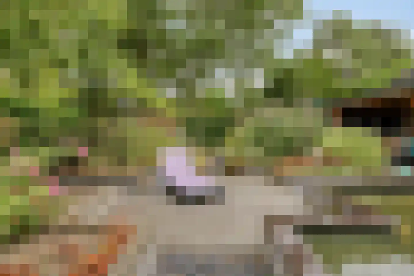 Prins Mauritsstraat 6 Dinteloord thumbnail 50