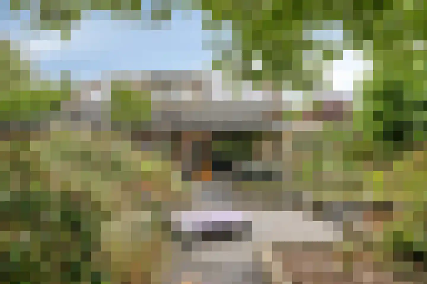 Prins Mauritsstraat 6 Dinteloord thumbnail 56