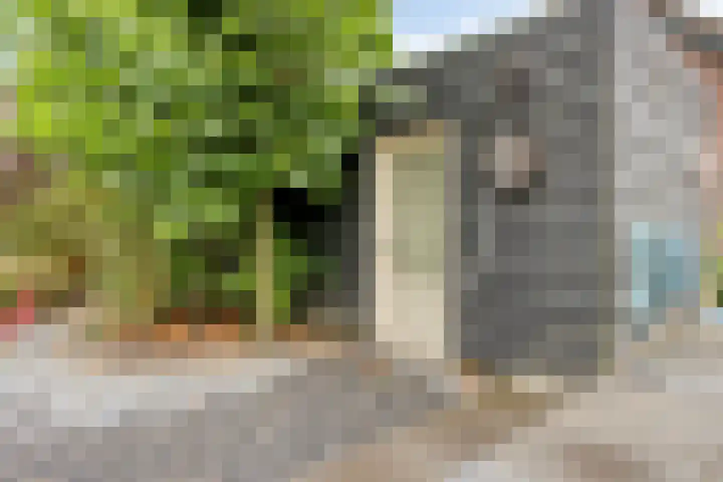Prins Mauritsstraat 6 Dinteloord thumbnail 58
