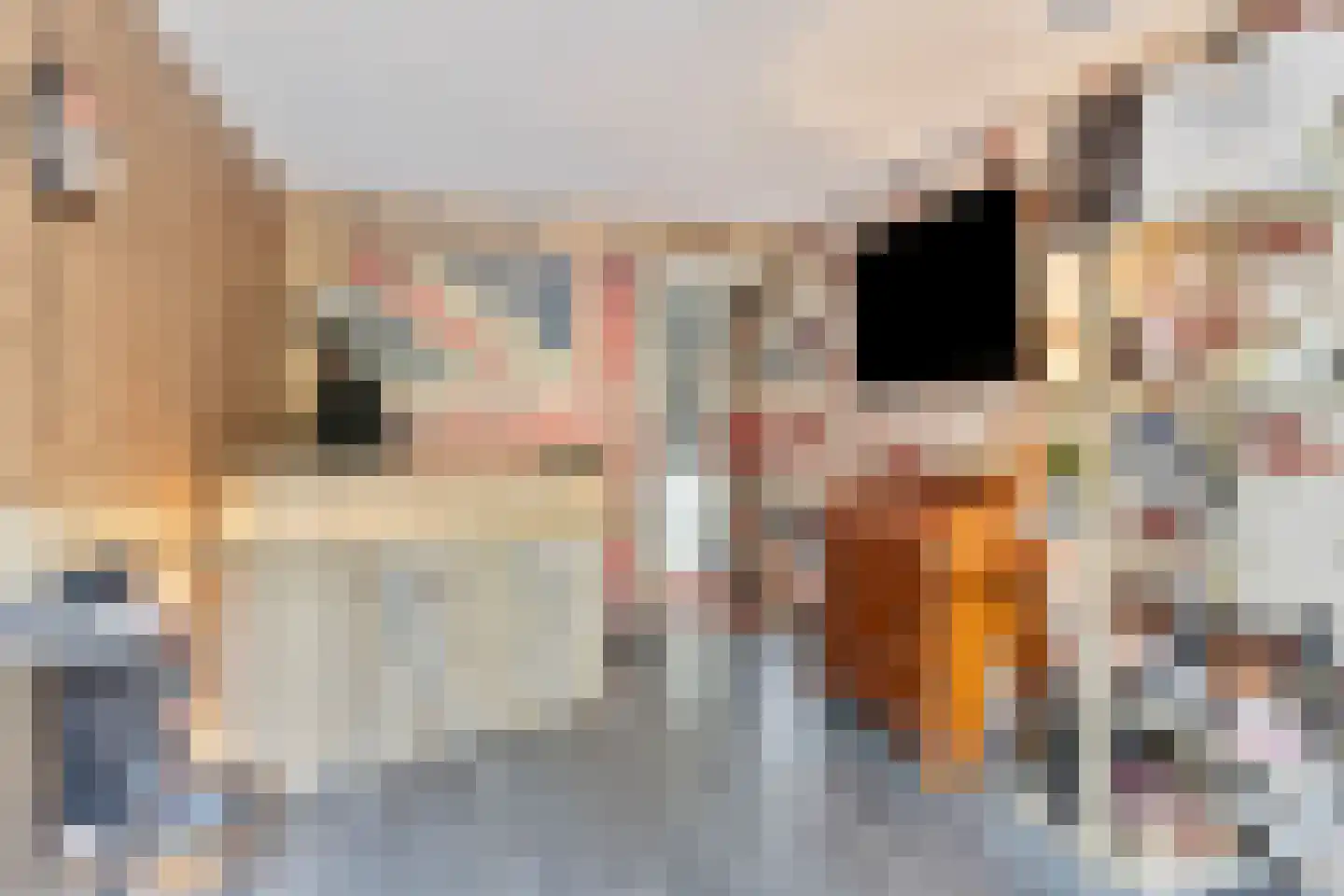 Prins Mauritsstraat 6 Dinteloord thumbnail 60