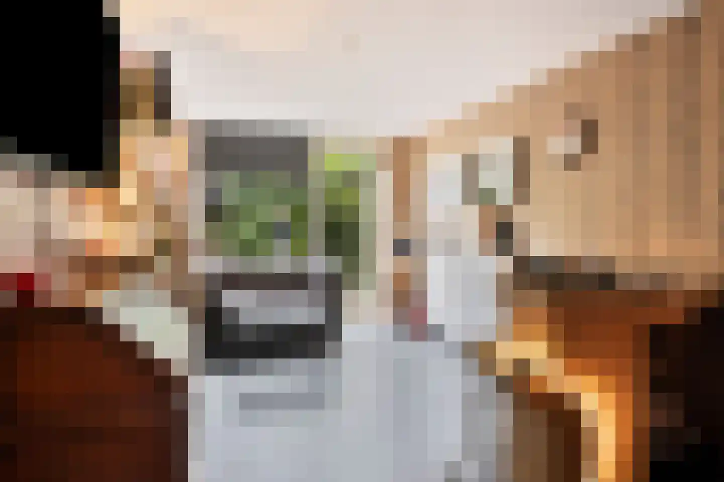 Prins Mauritsstraat 6 Dinteloord thumbnail 61