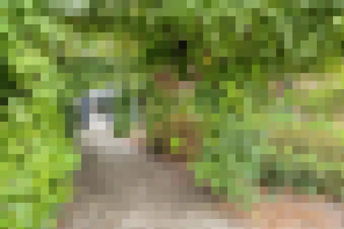 Prins Mauritsstraat 6 Dinteloord thumbnail 70