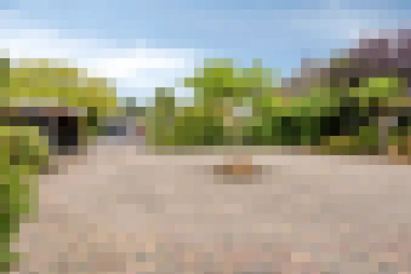 Prins Mauritsstraat 6 Dinteloord thumbnail 71