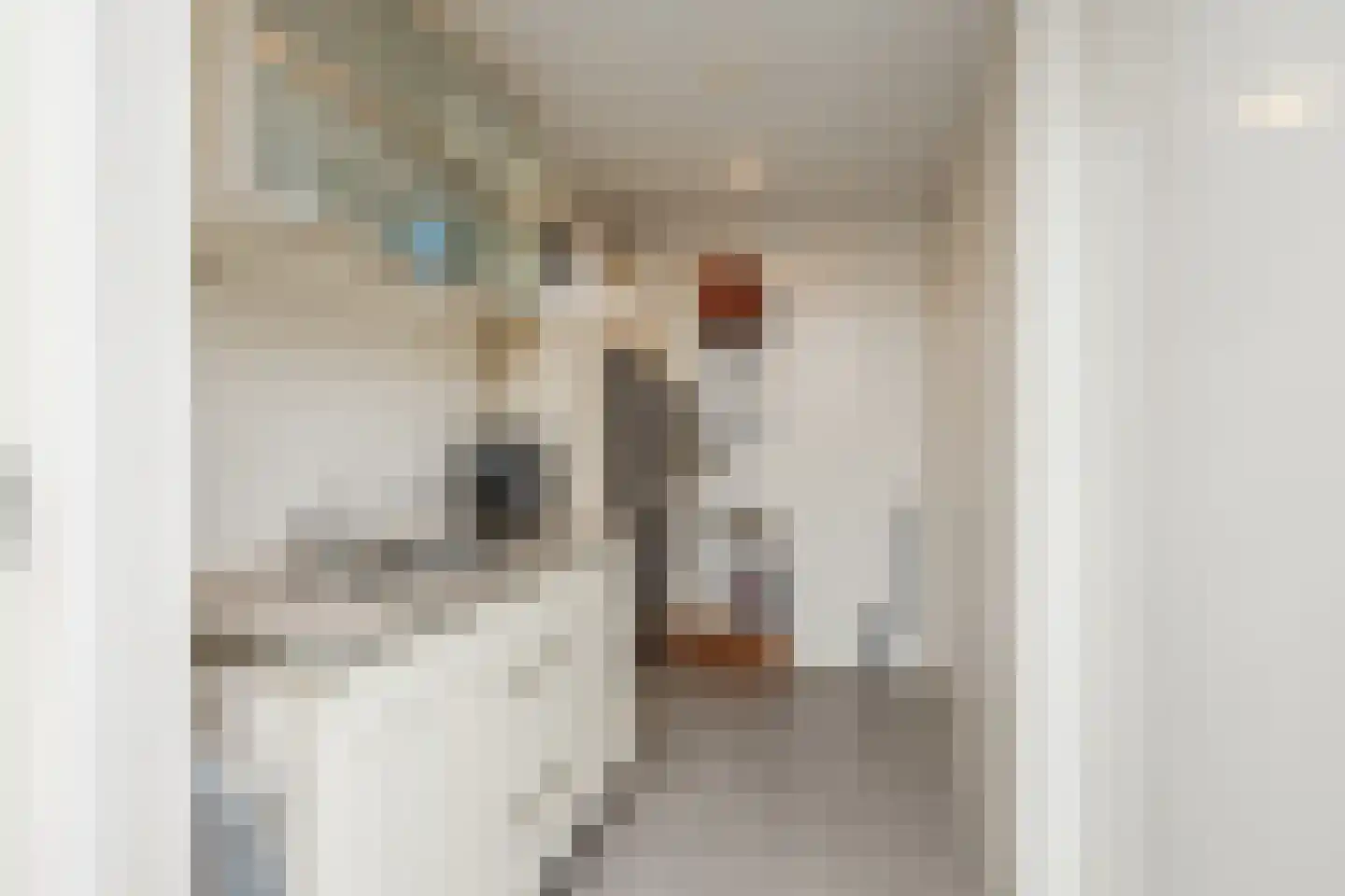 Prins Mauritsstraat 6 Oude Pekela thumbnail 13