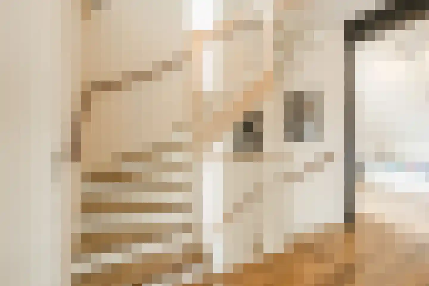 Prins Mauritsstraat 6 Oude Pekela thumbnail 31
