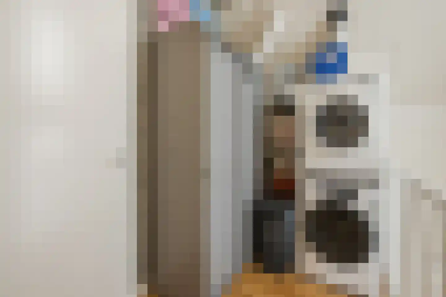 Prins Mauritsstraat 6 Oude Pekela thumbnail 36