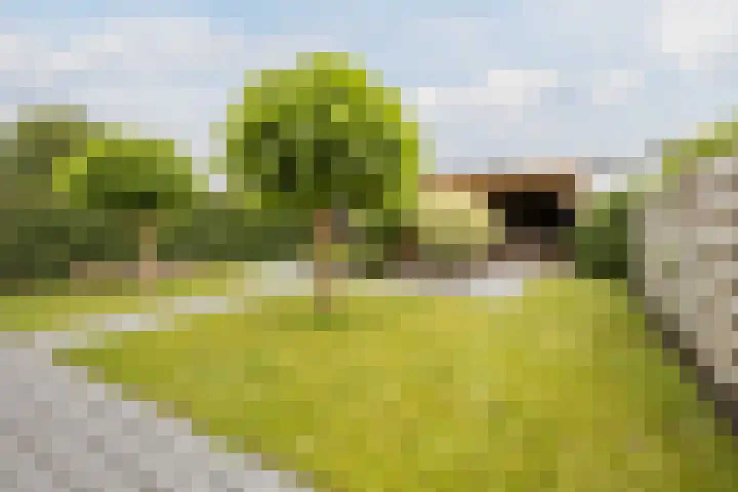 Prins Mauritsstraat 6 Oude Pekela thumbnail 42