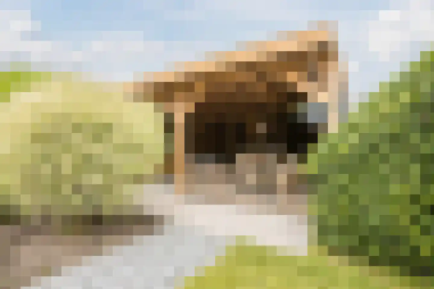 Prins Mauritsstraat 6 Oude Pekela thumbnail 51
