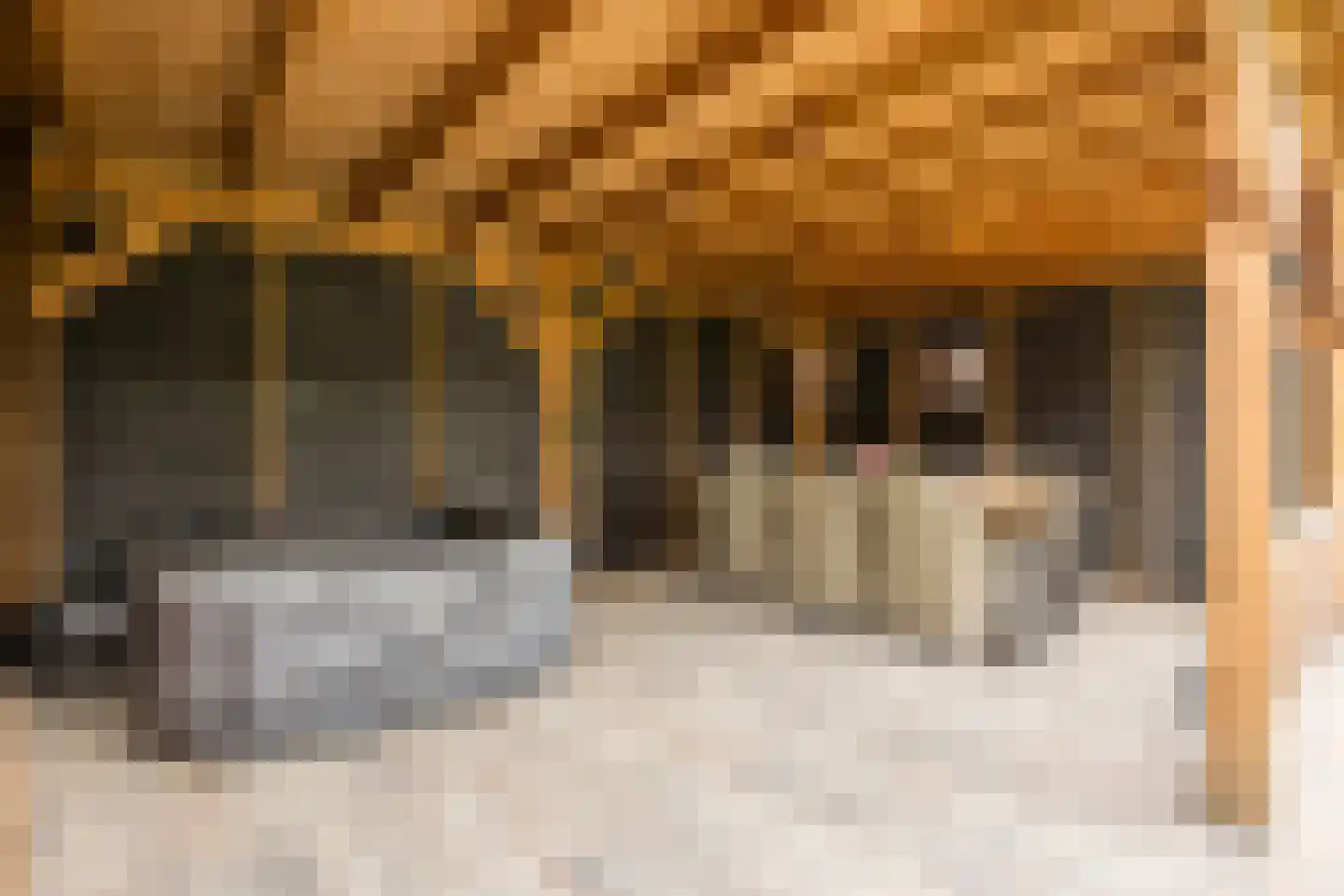 Prins Mauritsstraat 6 Oude Pekela thumbnail 52