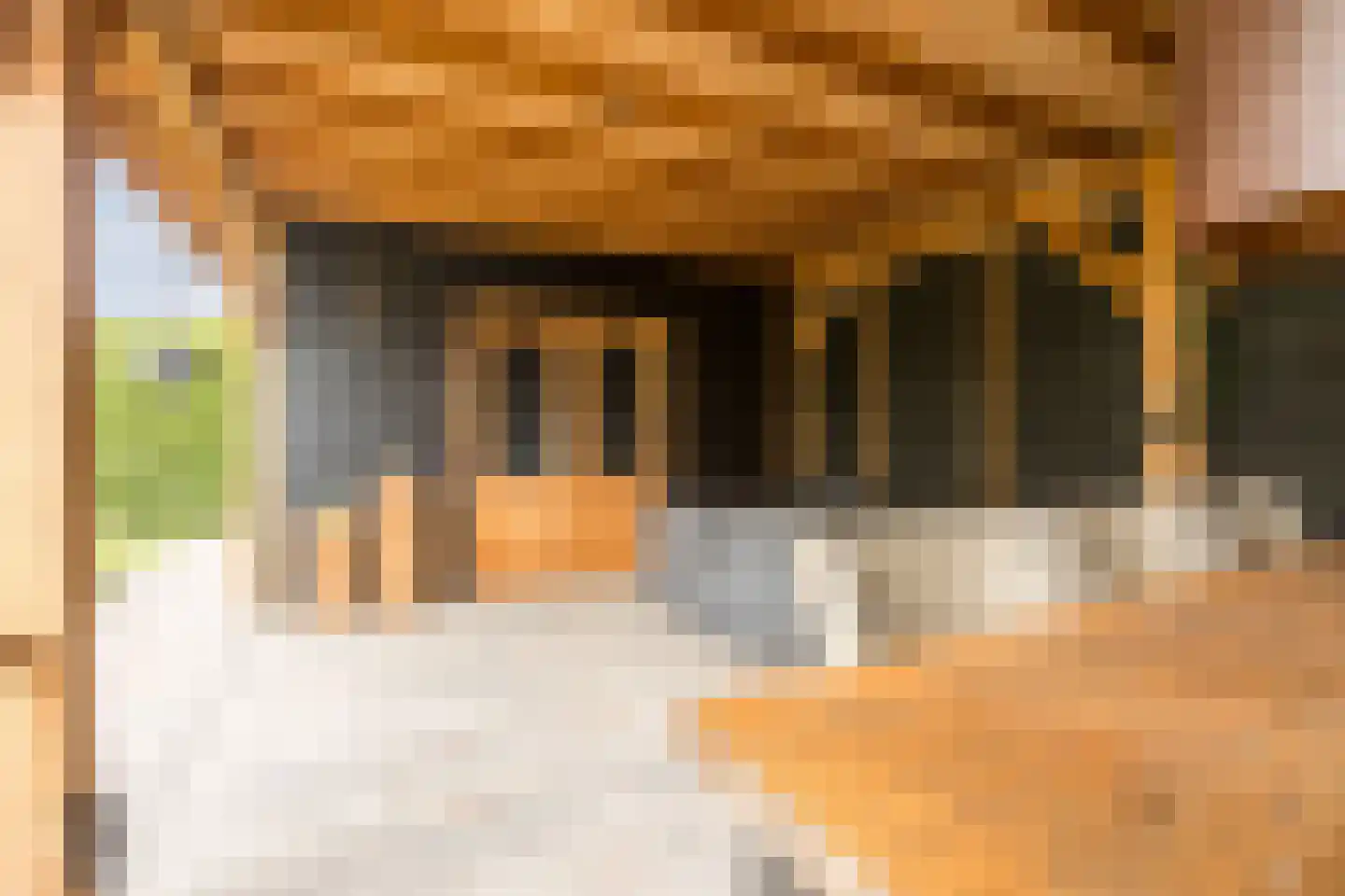 Prins Mauritsstraat 6 Oude Pekela thumbnail 53