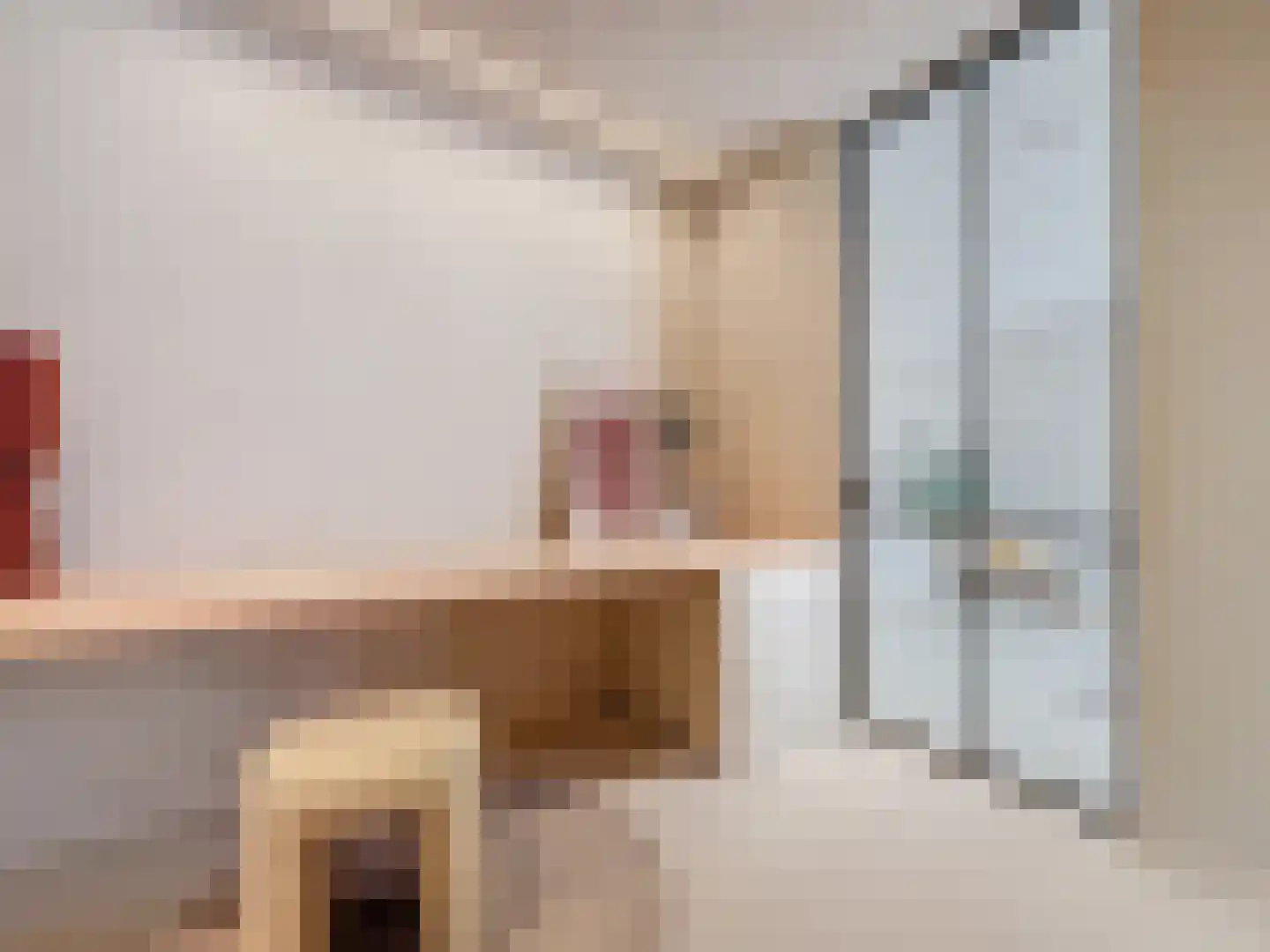Prins Mauritsstraat 6 Retranchement thumbnail 11