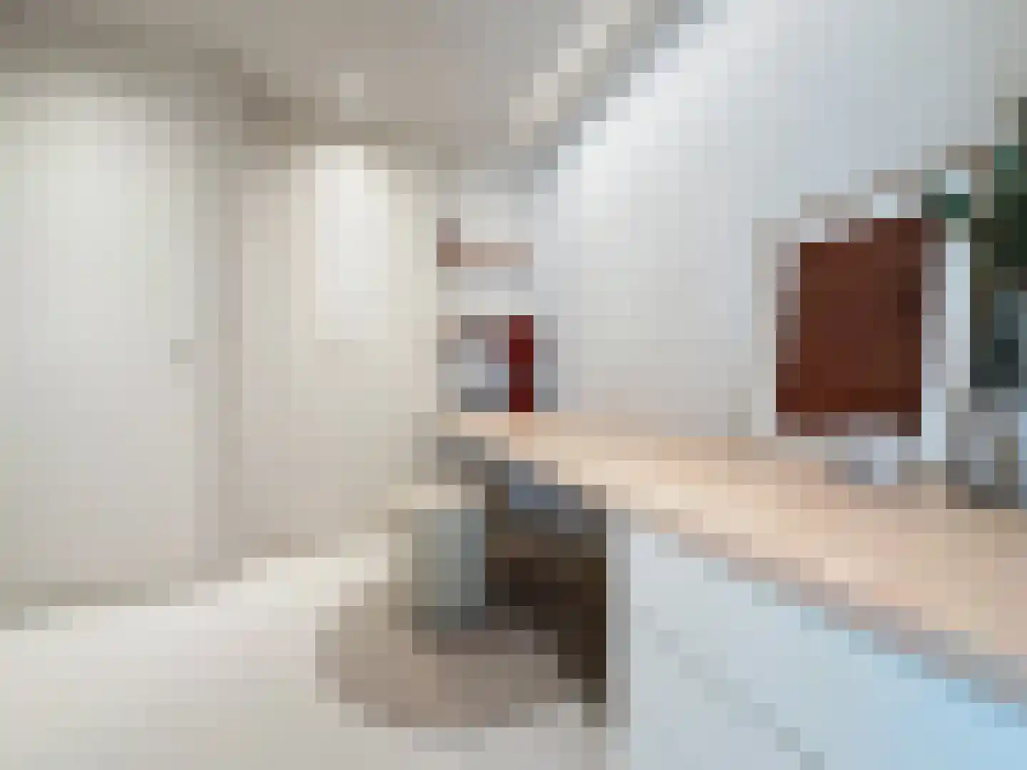 Prins Mauritsstraat 6 Retranchement thumbnail 12
