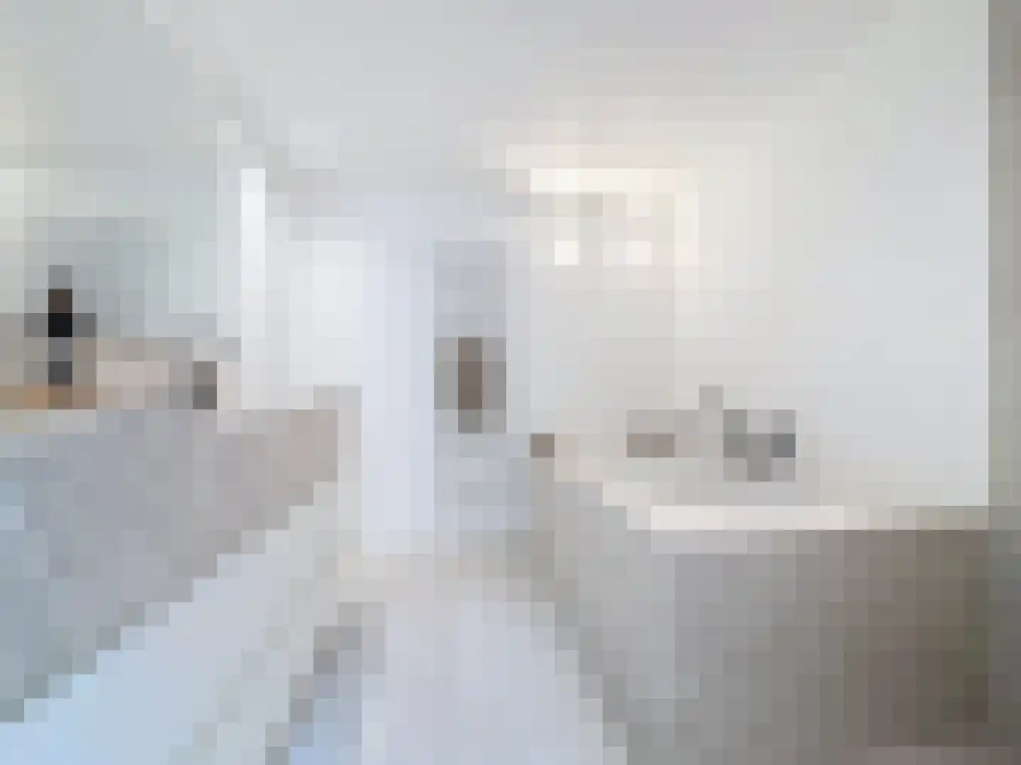 Prins Mauritsstraat 6 Retranchement thumbnail 19