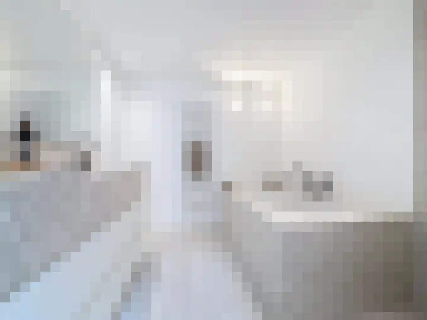Prins Mauritsstraat 6 Retranchement thumbnail 19