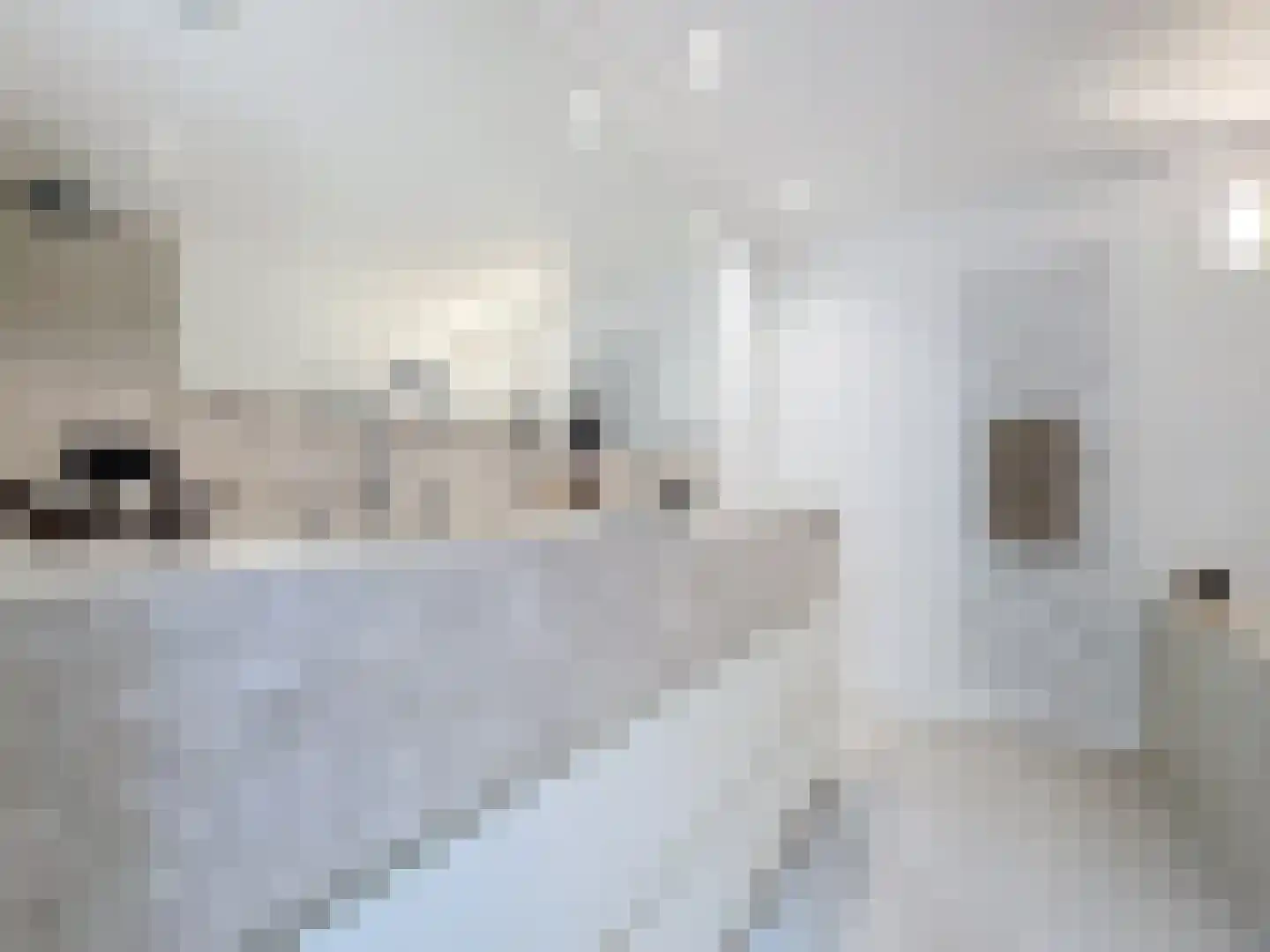 Prins Mauritsstraat 6 Retranchement thumbnail 20