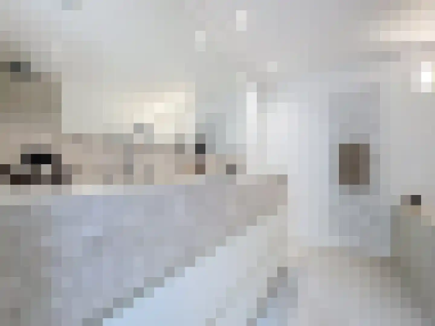 Prins Mauritsstraat 6 Retranchement thumbnail 21