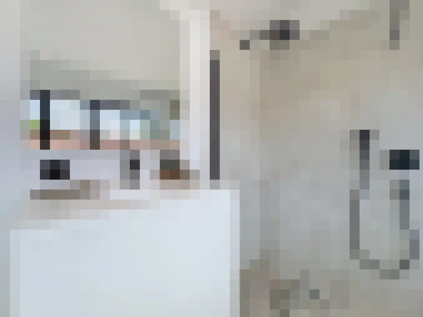 Prins Mauritsstraat 6 Retranchement thumbnail 25